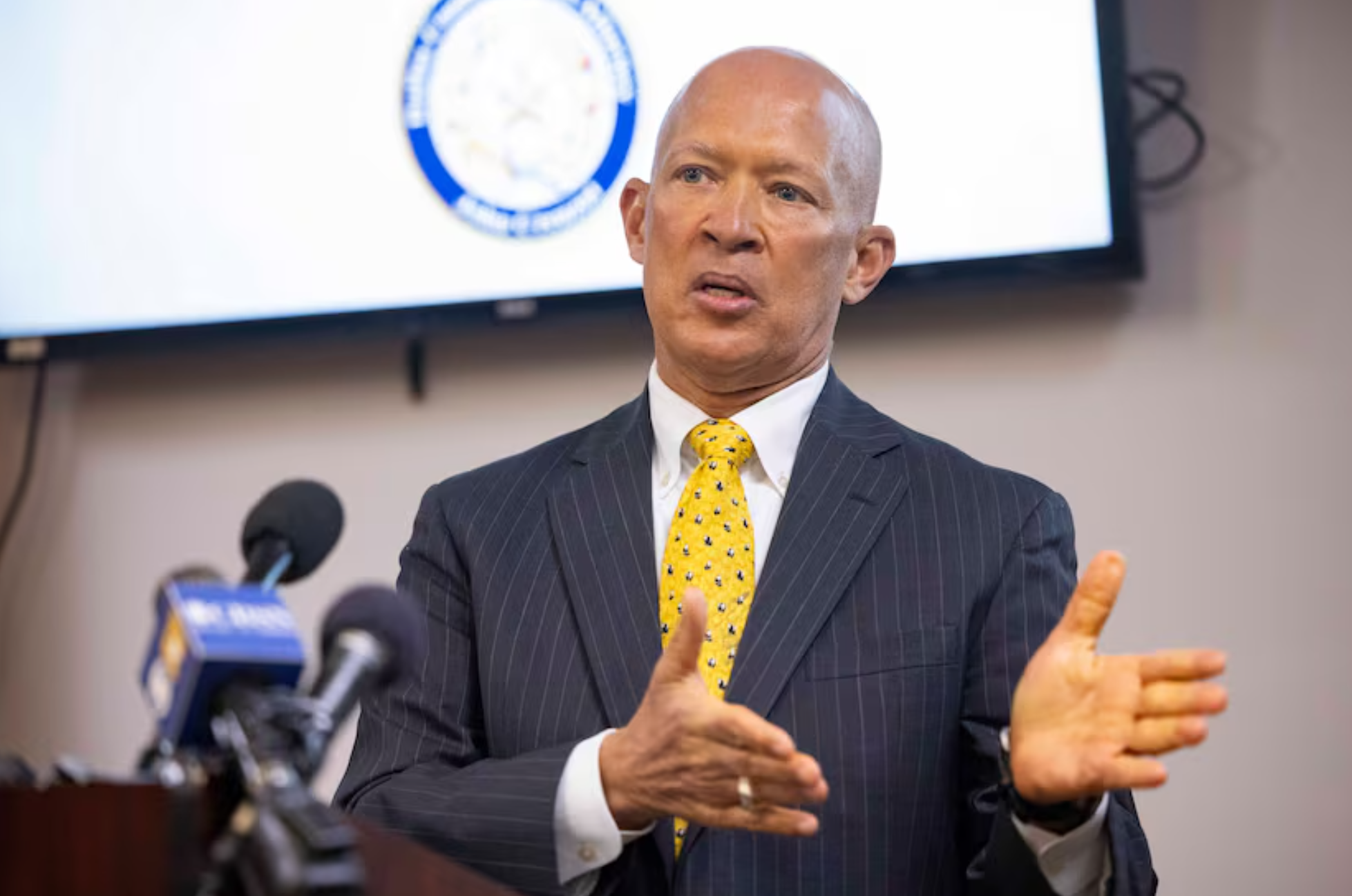 Person in a dark pinstripe suit with a yellow patterned tie speaking at a podium with microphones, gesturing with hands. A screen with an official seal is visible in the background.